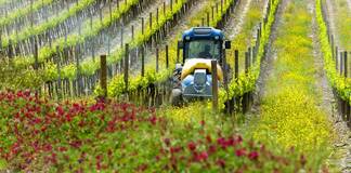 TRAITEMENTS PHYTOSANITAIRES: CALCULER SON IFT