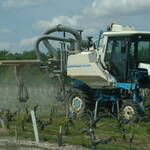 CAMPAGNE PHYTOSANITAIRE 2020 : SOYONS VIGILANTS, PREVENONS LES TENSIONS