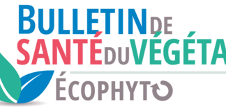 BULLETIN DE SANTE DU VEGETAL