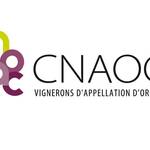 PROJET DE LOI DE FINANCES 2021