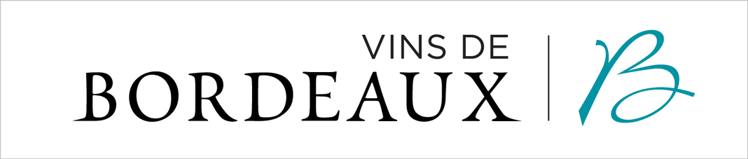 CIVB_lockup_horizontal_blue_white