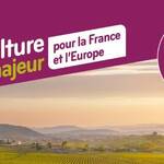 LA VITICULTURE, UN ATOUT MAJEUR POUR LA FRANCE ET L’EUROPE