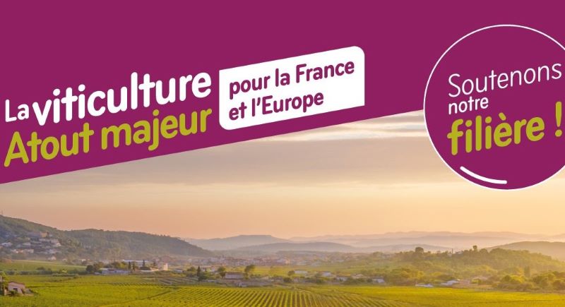 Vignerons AOC IGP-Vignette 1 copie3